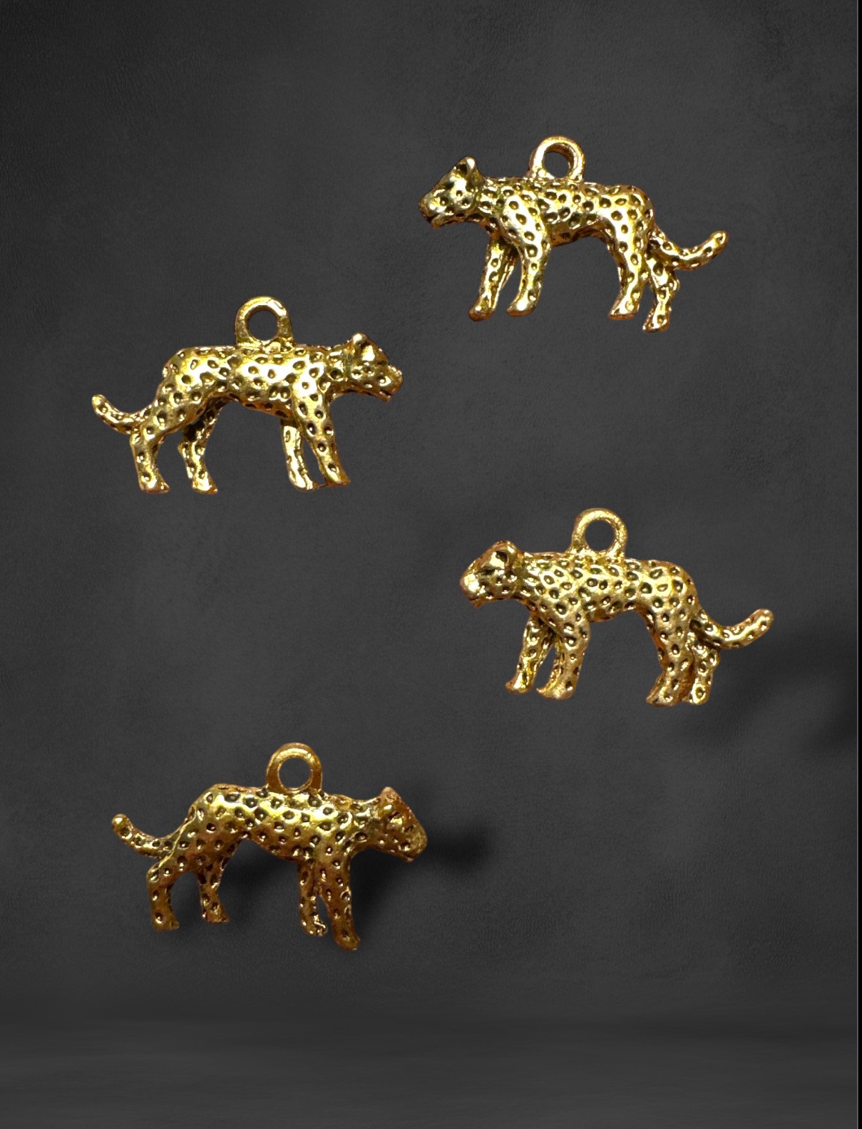 Leopard 🐆